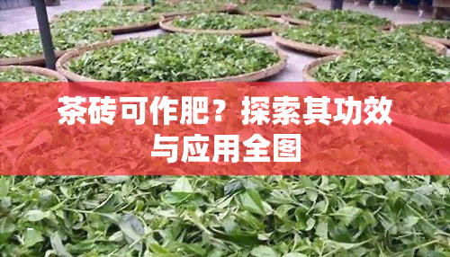 茶砖可作肥？探索其功效与应用全图