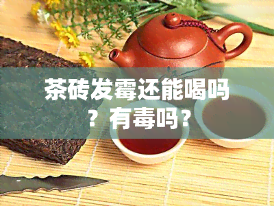 茶砖发霉还能喝吗？有吗？