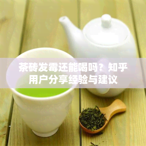 茶砖发霉还能喝吗？知乎用户分享经验与建议