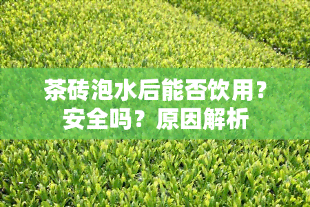 茶砖泡水后能否饮用？安全吗？原因解析