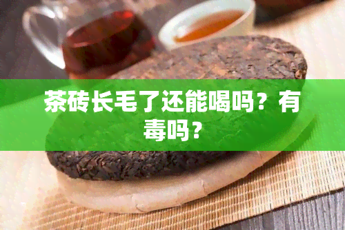 茶砖长毛了还能喝吗？有吗？