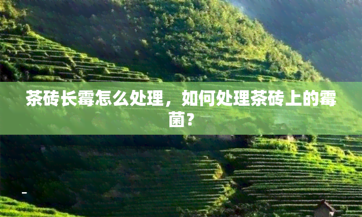 茶砖长霉怎么处理，如何处理茶砖上的霉菌？