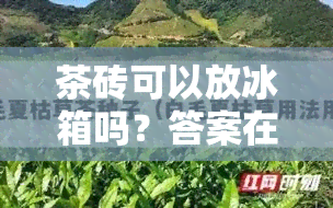 茶砖可以放冰箱吗？答案在这里！保存期限及冬适用性全面解析