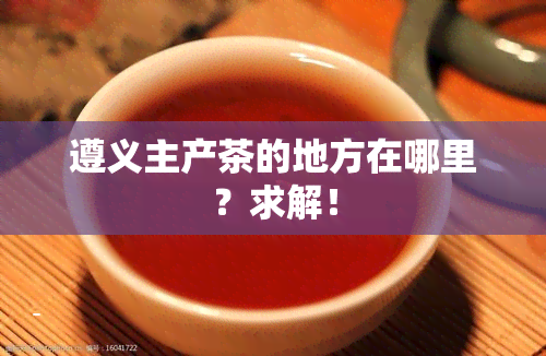 遵义主产茶的地方在哪里？求解！