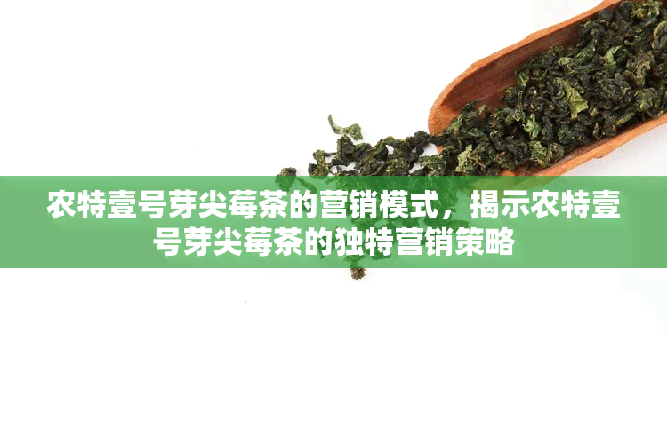 农特壹号芽尖莓茶的营销模式，揭示农特壹号芽尖莓茶的独特营销策略