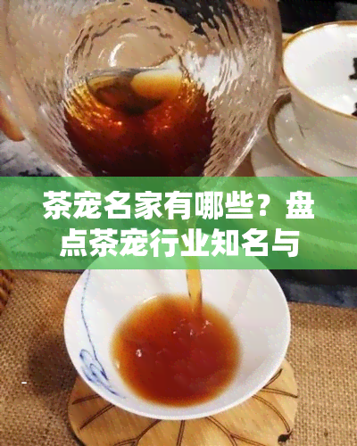 茶宠名家有哪些？盘点茶宠行业知名与十大名家