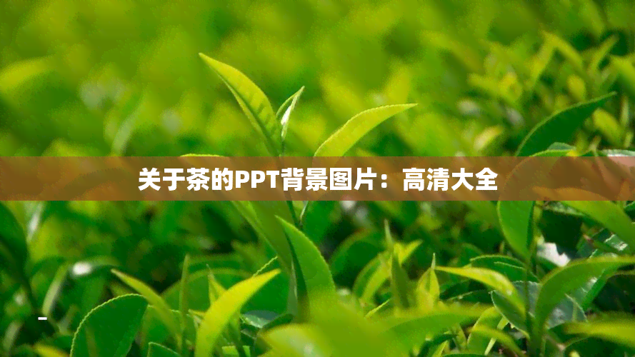 关于茶的PPT背景图片：高清大全