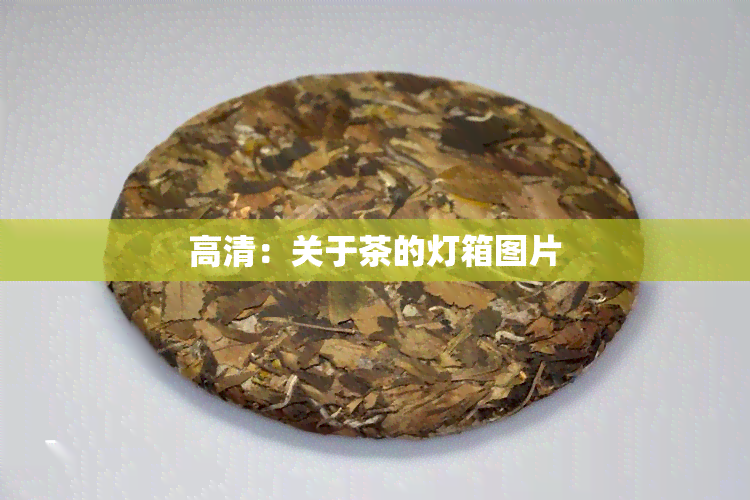 高清：关于茶的灯箱图片