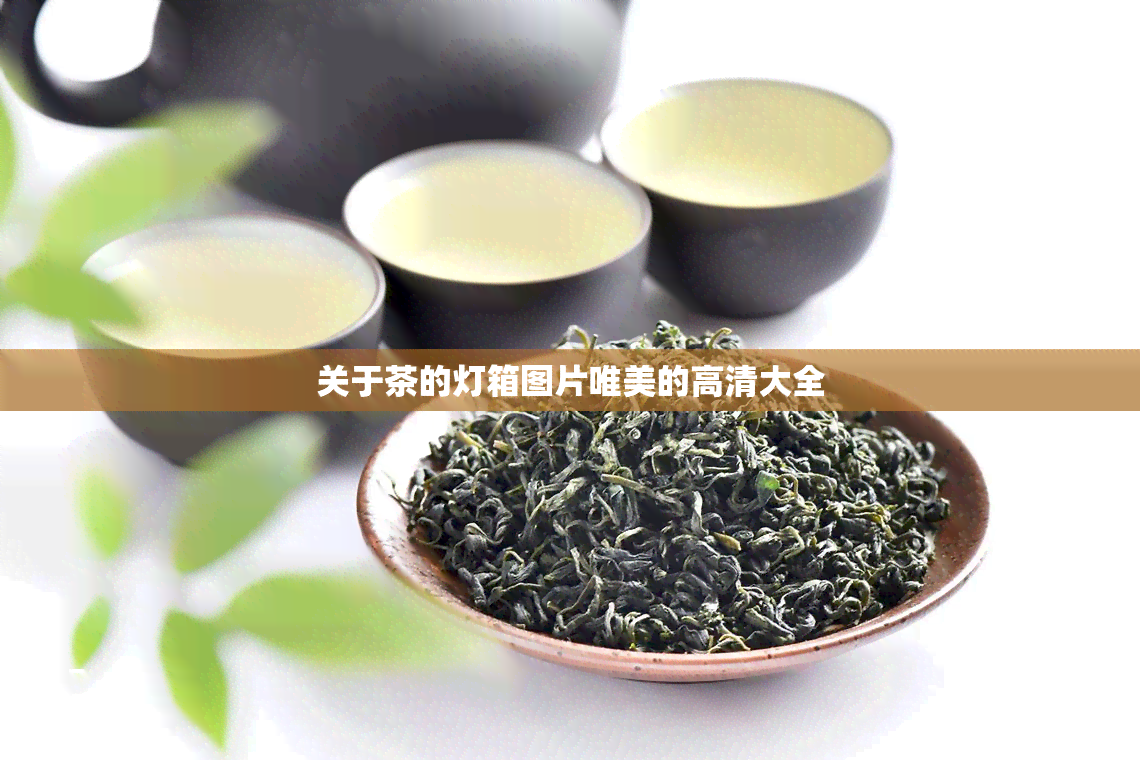 关于茶的灯箱图片唯美的高清大全