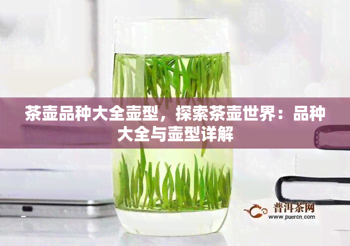 茶壶品种大全壶型，探索茶壶世界：品种大全与壶型详解