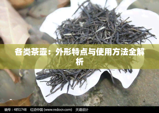 各类茶壶：外形特点与使用方法全解析