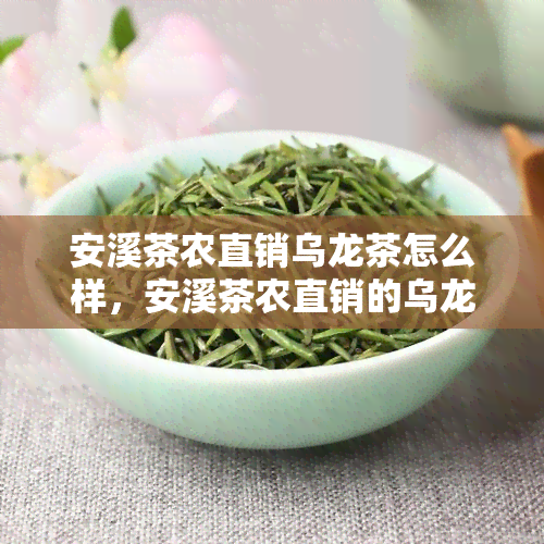 安溪茶农直销乌龙茶怎么样，安溪茶农直销的乌龙茶，品质如何？