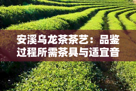 安溪乌龙茶茶艺：品鉴过程所需茶具与适宜音乐