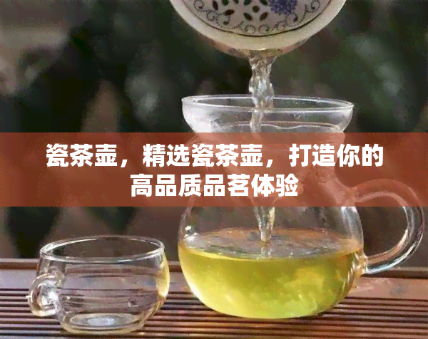 瓷茶壶，精选瓷茶壶，打造你的高品质品茗体验