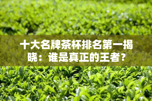 十大名牌茶杯排名之一揭晓：谁是真正的王者？