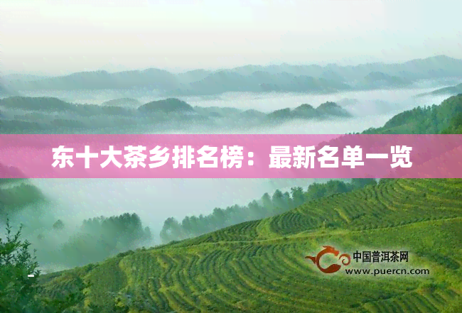 东十大茶乡排名榜：最新名单一览