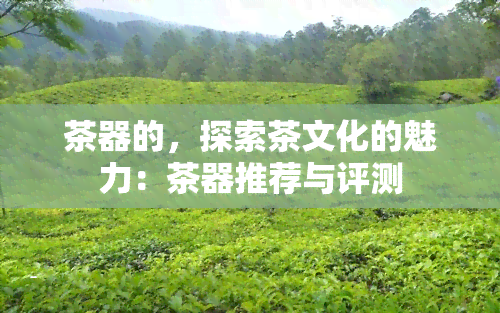 茶器的，探索茶文化的魅力：茶器推荐与评测