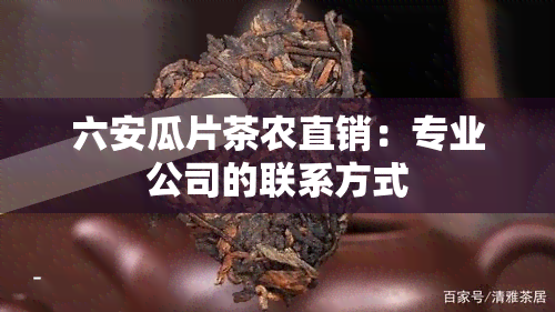 六安瓜片茶农直销：专业公司的联系方式