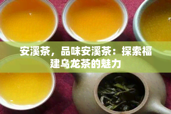 安溪茶，品味安溪茶：探索福建乌龙茶的魅力