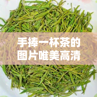 手捧一杯茶的图片唯美高清大全