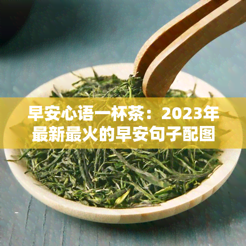 早安心语一杯茶：2023年最新最火的早安句子配图