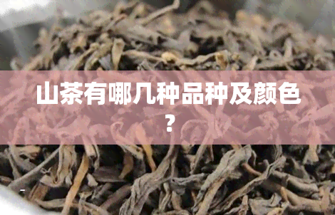 山茶有哪几种品种及颜色？