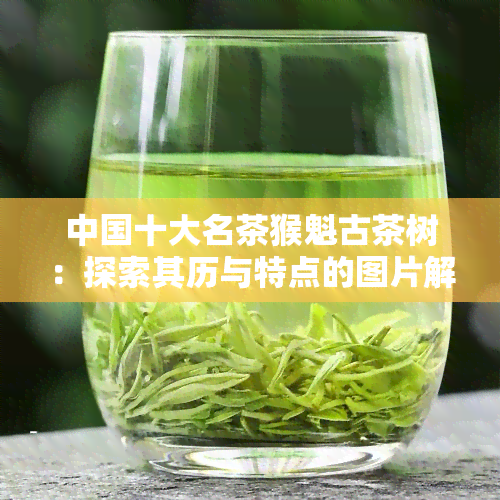 中国十大名茶猴魁古茶树：探索其历与特点的图片解析