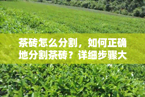 茶砖怎么分割，如何正确地分割茶砖？详细步骤大揭秘！