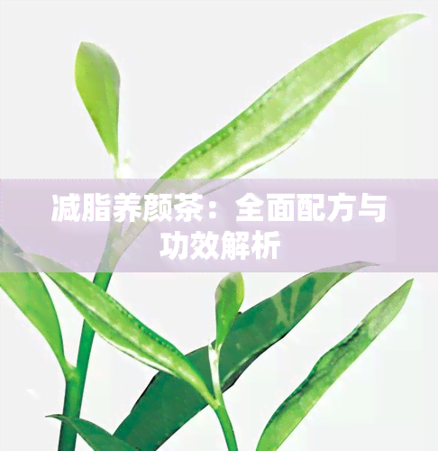 减脂养颜茶：全面配方与功效解析