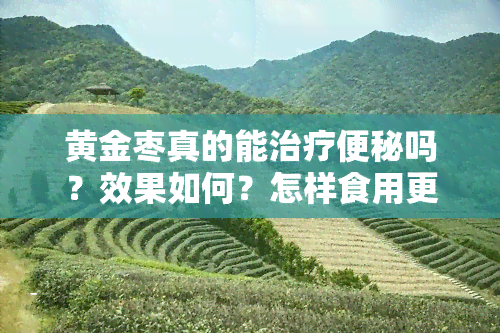 黄金枣真的能治疗便秘吗？效果如何？怎样食用更佳？