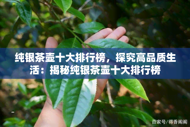 纯银茶壶十大排行榜，探究高品质生活：揭秘纯银茶壶十大排行榜