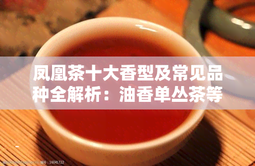 凤凰茶十大香型及常见品种全解析：油香单丛茶等一览