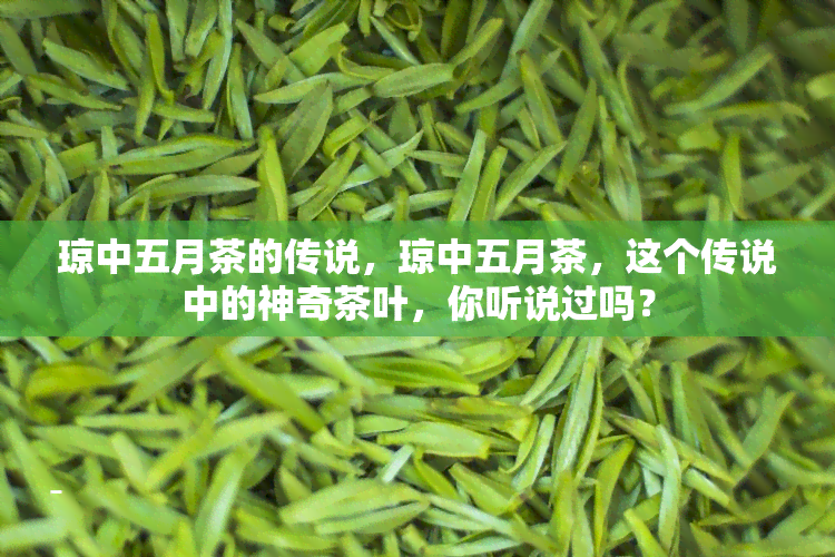 琼中五月茶的传说，琼中五月茶，这个传说中的神奇茶叶，你听说过吗？