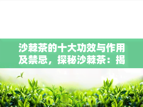 沙棘茶的十大功效与作用及禁忌，探秘沙棘茶：揭示其十大神奇功效与作用，同时注意这些禁忌