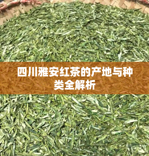 四川雅安红茶的产地与种类全解析