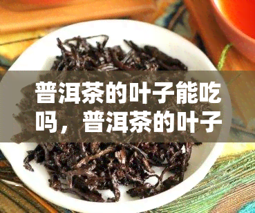 普洱茶的叶子能吃吗，普洱茶的叶子是否可以食用？探讨其安全性与营养价值