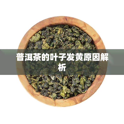 普洱茶的叶子发黄原因解析