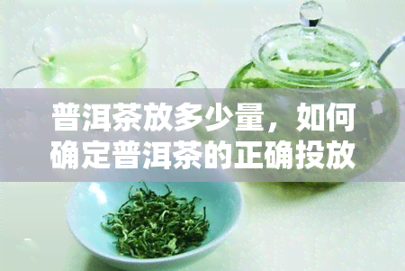 普洱茶放多少量，如何确定普洱茶的正确投放量？