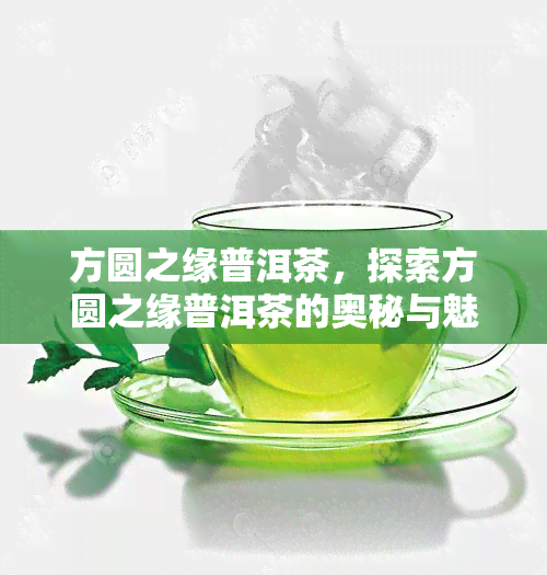 方圆之缘普洱茶，探索方圆之缘普洱茶的奥秘与魅力