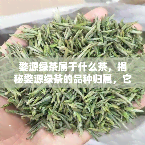 婺源绿茶属于什么茶，揭秘婺源绿茶的品种归属，它属于哪种茶？