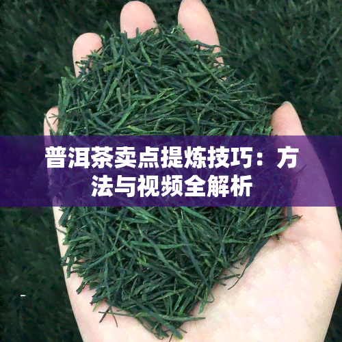 普洱茶卖点提炼技巧：方法与视频全解析