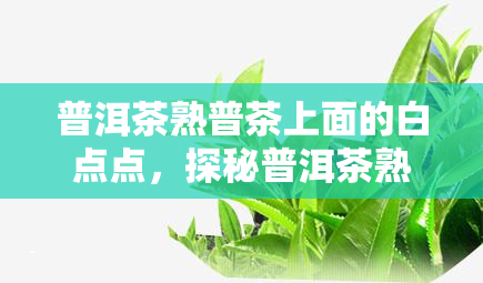 普洱茶熟普茶上面的白点点，探秘普洱茶熟普茶上的神秘白点点