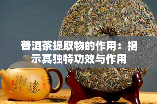 普洱茶提取物的作用：揭示其独特功效与作用