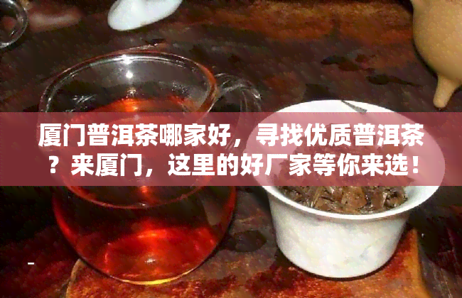 厦门普洱茶哪家好，寻找优质普洱茶？来厦门，这里的好厂家等你来选！