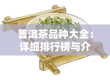 普洱茶品种大全：详细排行榜与介绍