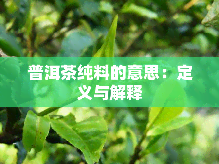 普洱茶纯料的意思：定义与解释