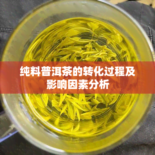 纯料普洱茶的转化过程及影响因素分析