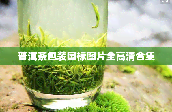 普洱茶包装国标图片全高清合集