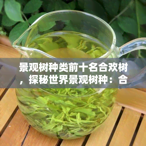 景观树种类前十名合欢树，探秘世界景观树种：合欢树荣登前十名