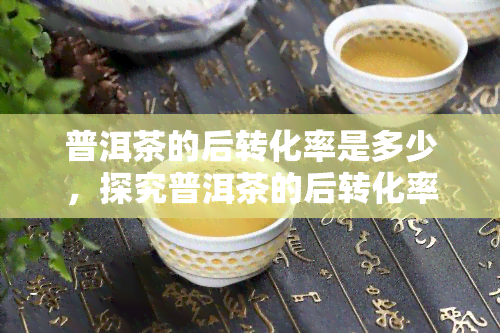 普洱茶的后转化率是多少，探究普洱茶的后转化率：影响因素与实际表现